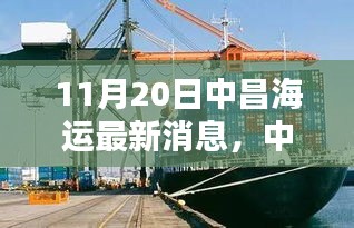 中昌海運最新消息深度解析（聚焦要點，每日速遞）