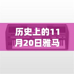 雅馬哈電吹管革新之路,深度探討與觀點(diǎn)闡述