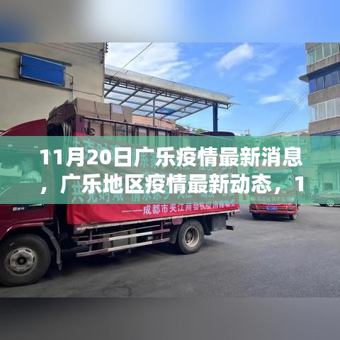 11月20日廣樂(lè)疫情最新動(dòng)態(tài)，回顧與影響