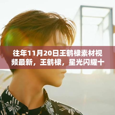 王鶴棣星光閃耀十一月，最新素材視頻回顧