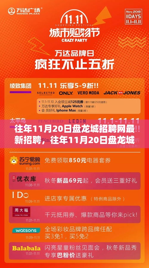 往年11月20日盤龍城招聘網最新招聘信息全解析,求職者的必備指南