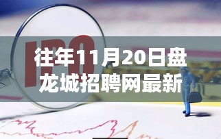 往年11月20日盤龍城招聘網最新招聘信息全解析,求職者的必備指南
