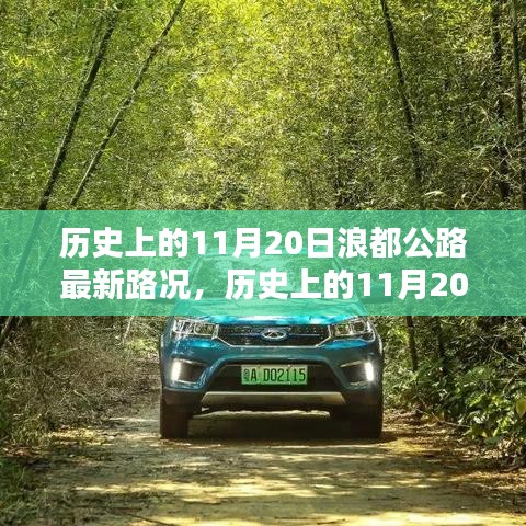歷史上的11月20日浪都公路最新路況概覽，最新路況概覽與概覽分析