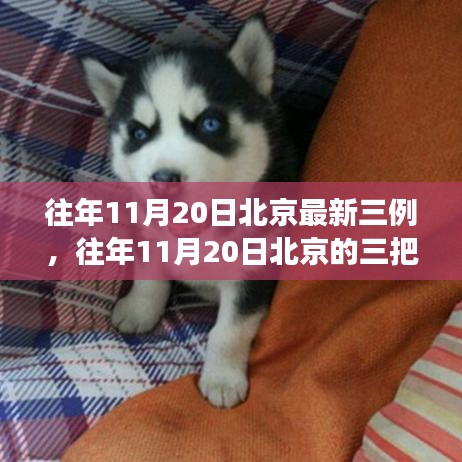 往年11月20日北京三例背后的故事，點(diǎn)燃自信與成就之光的學(xué)習(xí)之旅