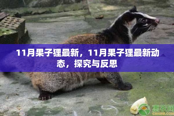 探究與反思，最新動態下的果子貍生存狀況觀察（11月最新資訊）