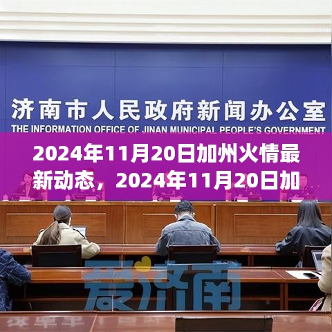 深度解析與個人立場下的加州火情最新動態，多方觀點探討，2024年11月20日