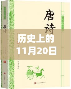 麻衣神算子最新章節閱讀指南，歷史11月20日更新，初學者與進階用戶必讀