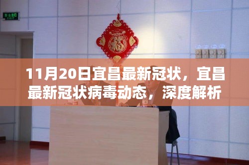 宜昌最新冠狀病毒動態深度解析與案例分析（11月20日更新版）