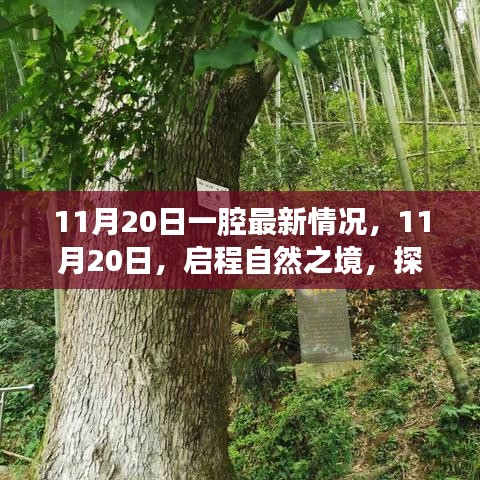 11月20日啟程自然之境，探尋內心的桃花源最新動態