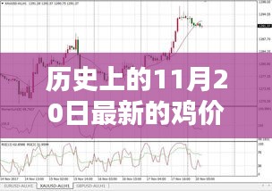 歷史上的雞價走勢,揭秘11月20日的雞價走勢分析