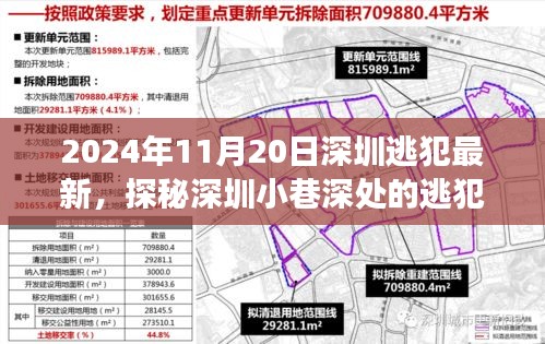 探秘深圳小巷深處的逃犯新去處,特色小店背后的故事(2024年11月20日深圳逃犯最新)