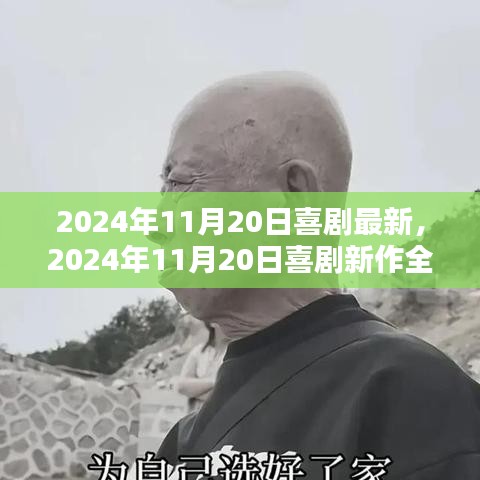 喜劇新作測評，歡笑與感動的完美結合（2024年11月20日最新）