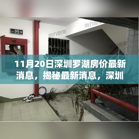 深圳羅湖房價最新動態及市場趨勢解析（11月20日數據揭秘）