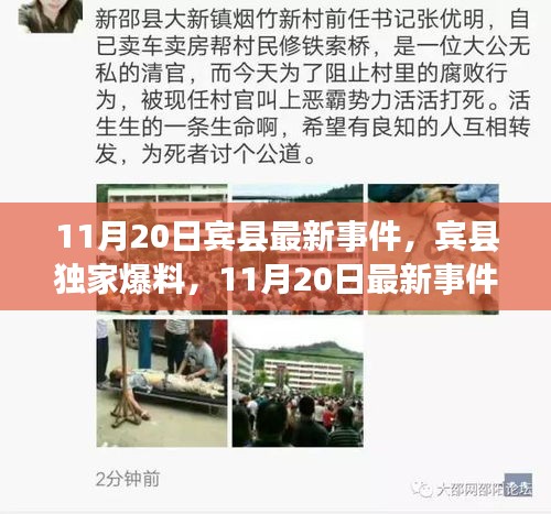 賓縣獨家爆料，11月20日最新事件全解析，小紅書直擊現(xiàn)場！