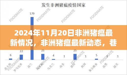 非洲豬瘟最新動態(tài)及巷弄深處的特色小店探索之旅(2024年11月20日)