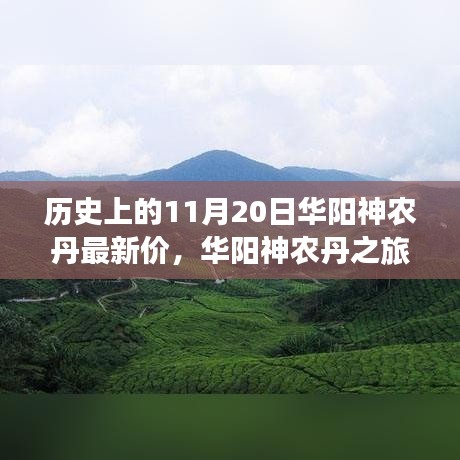 華陽神農丹之旅,探尋歷史價格與自然美景,尋找內心的寧靜與和諧