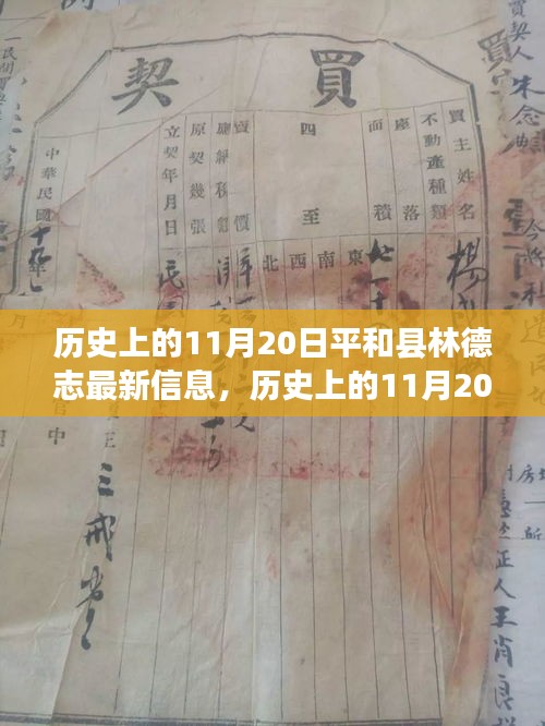 歷史上的11月20日，平和縣林德志最新信息概覽