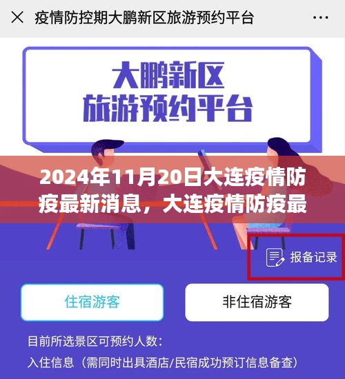 聚焦解讀,大連疫情防疫最新消息(2024年11月20日更新)