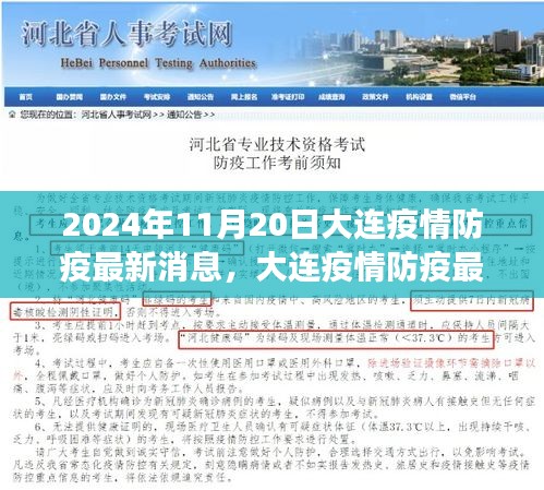 聚焦解讀,大連疫情防疫最新消息(2024年11月20日更新)