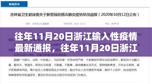浙江輸入性疫情最新通報解析,往年11月20日指南與步驟詳解