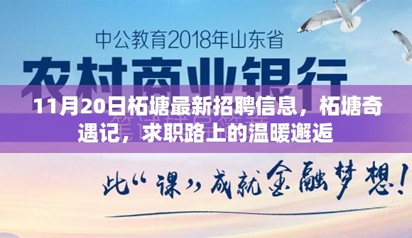 柘塘最新招聘信息揭秘,求職路上的溫暖邂逅之旅