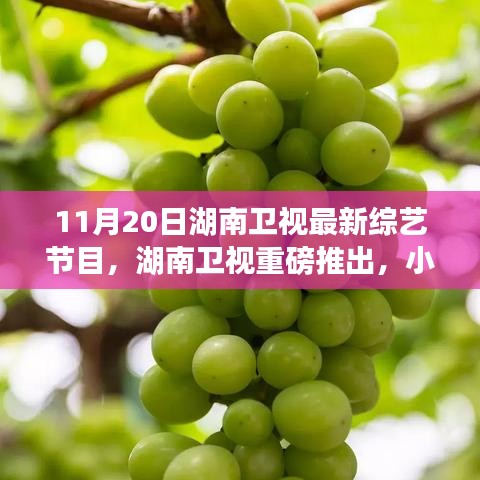 湖南衛(wèi)視巷弄美食探秘夜,小巷深處的綜藝寶藏新節(jié)目上線