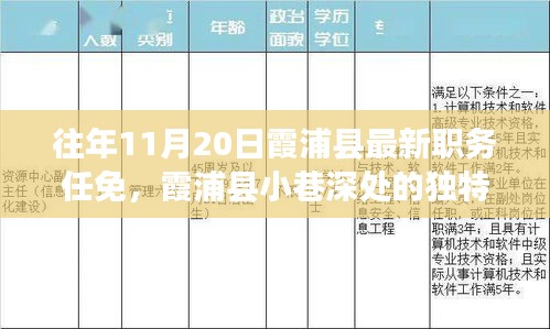 霞浦縣職務任免背后的獨特風味與驚喜發現之旅