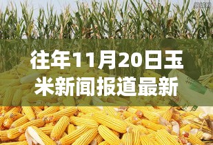 探秘巷弄深處的驚喜小店，往年玉米新聞回顧與隱藏式特色小店的玉米香之旅