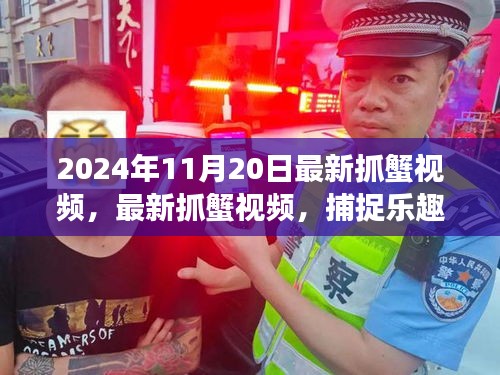 最新抓蟹視頻,捕捉樂趣與生態平衡交織的探討