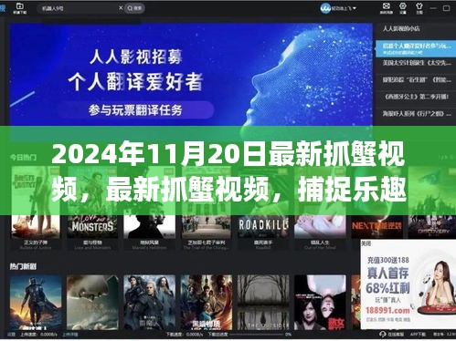 最新抓蟹視頻,捕捉樂(lè)趣與生態(tài)平衡交織的探討