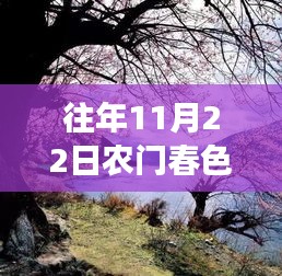 農(nóng)門春色,暖陽下的秋日趣事與深厚友情最新章節(jié)發(fā)布(XXXX年XX月XX日)