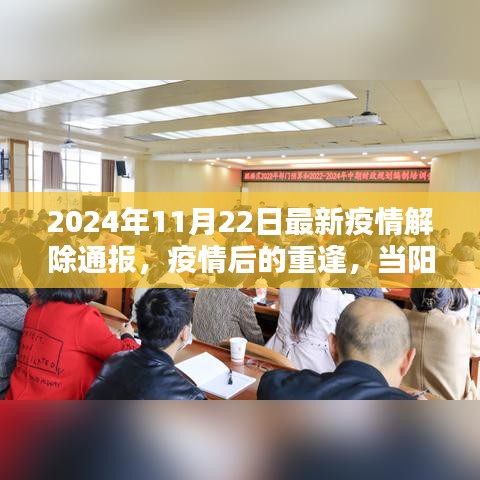 陽光照亮心靈,疫情解除通報與重逢的日子