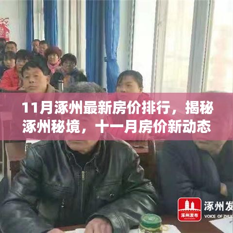 揭秘涿州最新房價(jià)動(dòng)態(tài),綠色之旅探尋內(nèi)心平靜之地