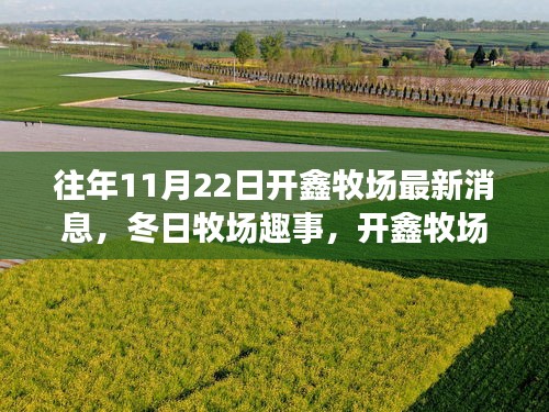 開鑫牧場(chǎng)11月22日冬日溫馨日常與牧場(chǎng)趣事報(bào)道