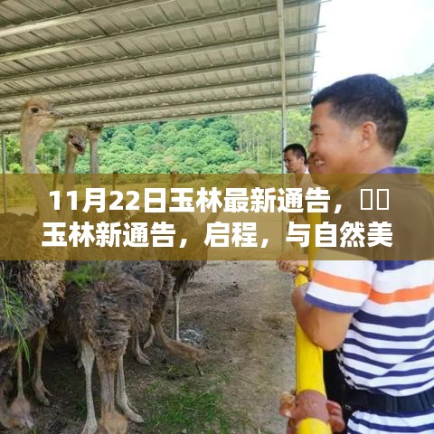 玉林新通告發布，啟程共舞自然美景，探尋內心寧靜之樂