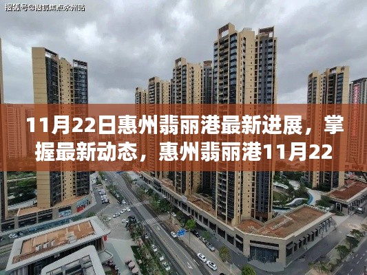 惠州翡麗港11月22日最新進展詳解與操作指南，掌握最新動態！