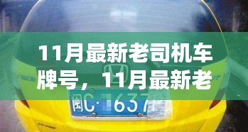 11月最新老司機(jī)車牌號(hào)，11月最新老司機(jī)車牌號(hào)全面評(píng)測(cè)與介紹