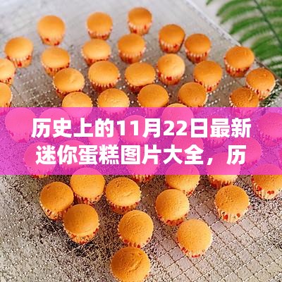 歷史上的11月22日迷你蛋糕圖片精選集，最新圖片大全展示