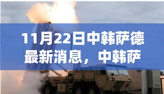 中韓薩德反導系統最新動態報道(截至11月22日)