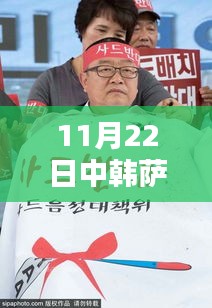 中韓薩德反導系統最新動態報道(截至11月22日)