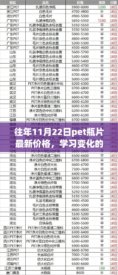 往年11月22日PET瓶片最新價格,探尋變化的力量,自信與成就的來源