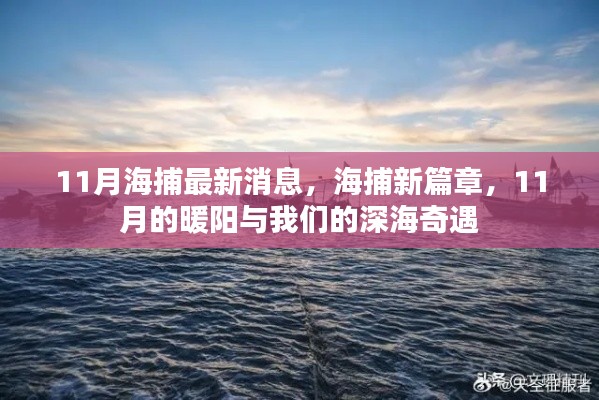 11月深海奇遇，海捕新篇章開啟，暖陽下的深海探索之旅
