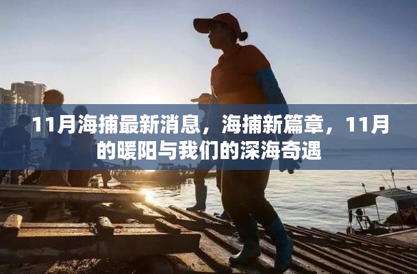 11月深海奇遇,海捕新篇章開啟,暖陽下的深海探索之旅