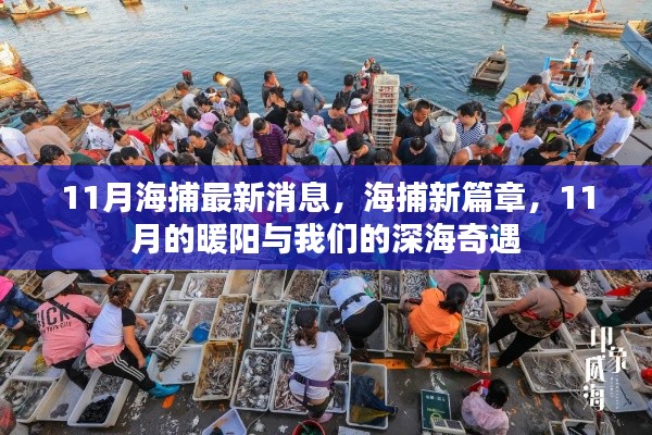 11月深海奇遇,海捕新篇章開啟,暖陽下的深海探索之旅