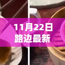 揭秘11月22日路邊最新小吃,深度評測與介紹