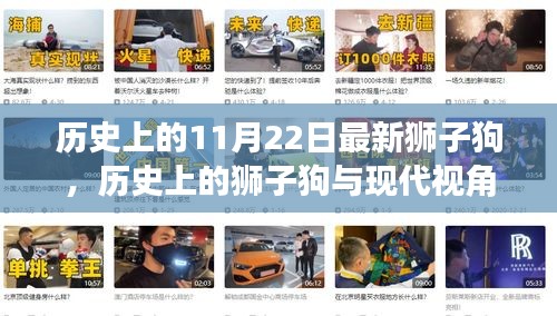 歷史上的獅子狗，從過去到現代的視角探討與最新獅子狗事件回顧