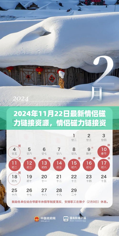 2024年情侶磁力鏈接資源新動態,探索最新進展與資源