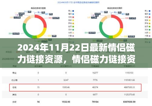 2024年情侶磁力鏈接資源新動態,探索最新進展與資源