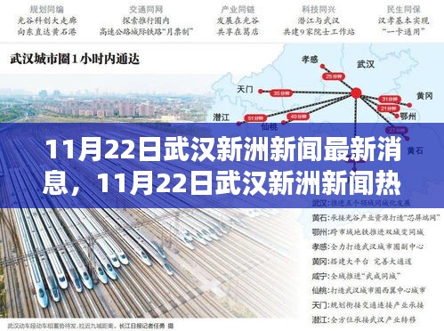 武漢新洲新聞熱點解析，最新消息與熱點解析（日期標(biāo)注）