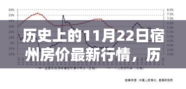歷史上的11月22日宿州房價行情深度解析與最新觀點闡述